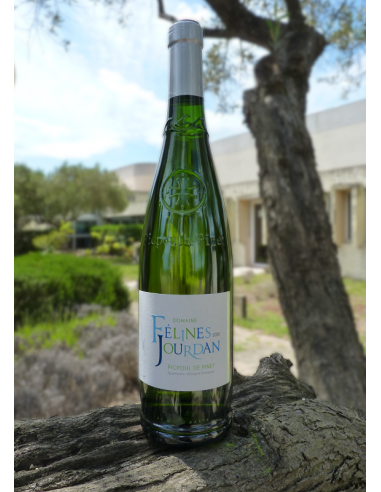 JOURDAN CUVEE CLASSIQUE PICPOUL DE...